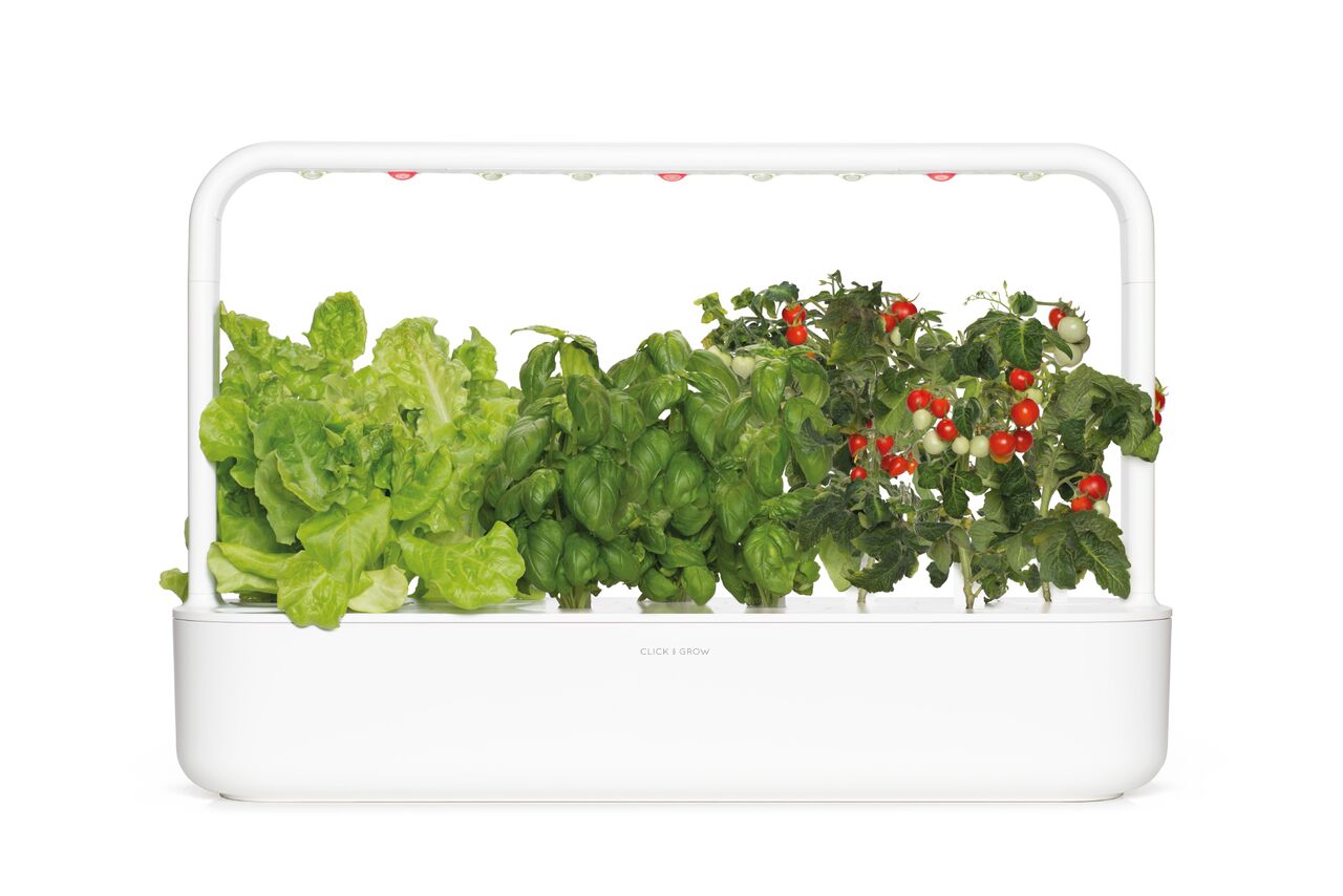 SG9_white_lettuce_basil_tomato_large_preview.jpeg
