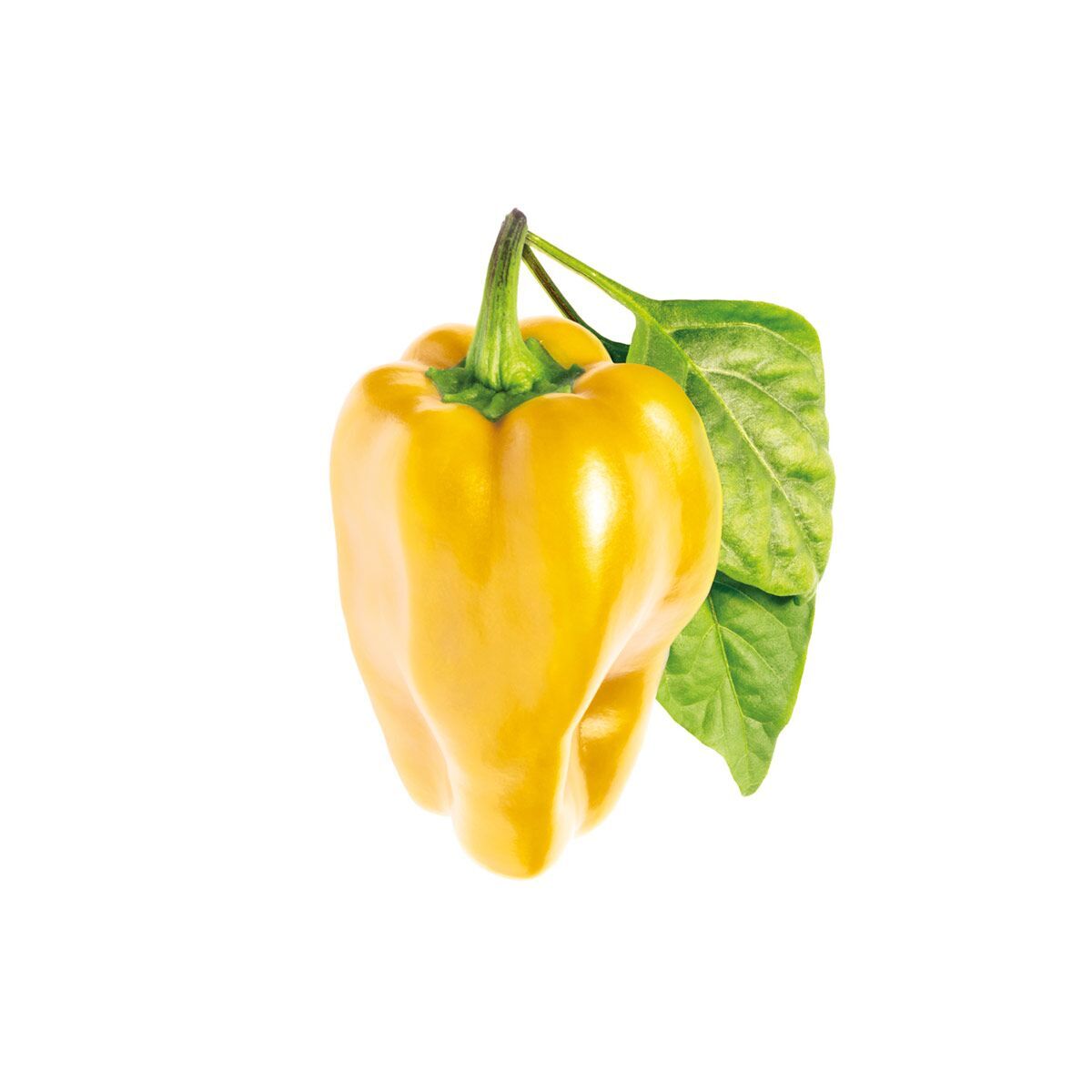 Yellow Sweet Pepper Click Grow Help Desk