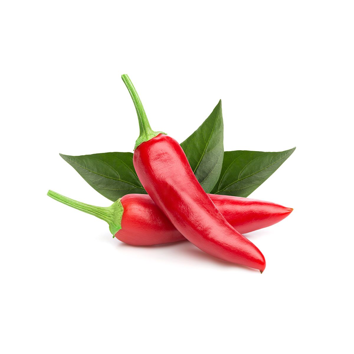 Chilli pepper. Перец красный острый стручковый. Перец Чили красный. Перец Чили 1 шт. ДСК перец Чили 100г.