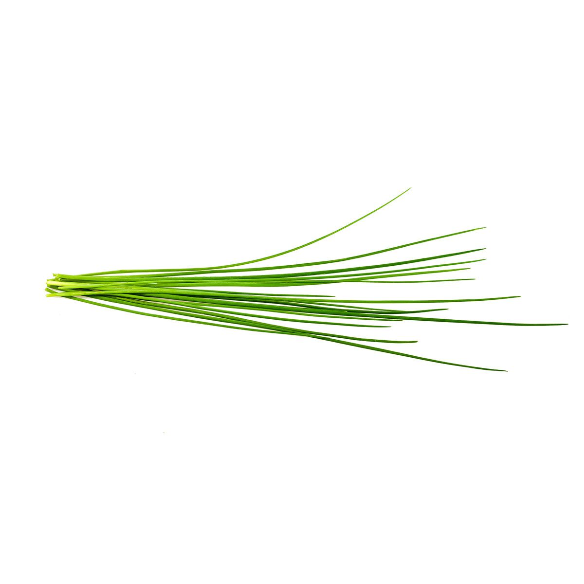 Chives_plant_1200x1200_preview.jpg